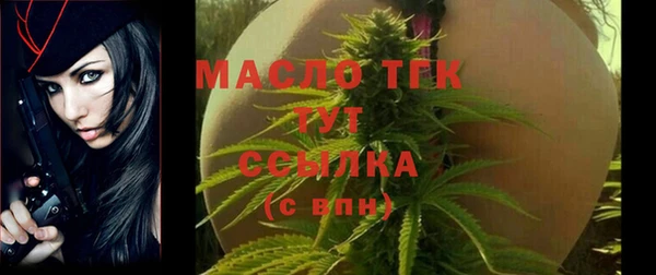 прущие грибы Вязьма