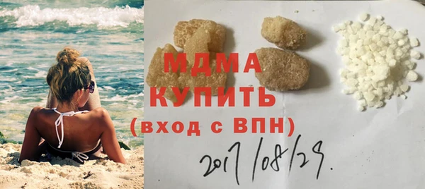 прущие грибы Вязьма